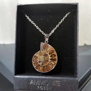  Doğal ammonit taş Takı Sarılmış Kolye Kolye